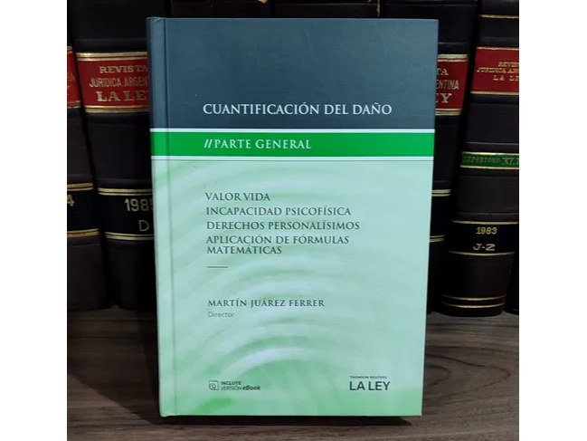 CUANTIFICACION DEL DAÑO - PARTE GRAL