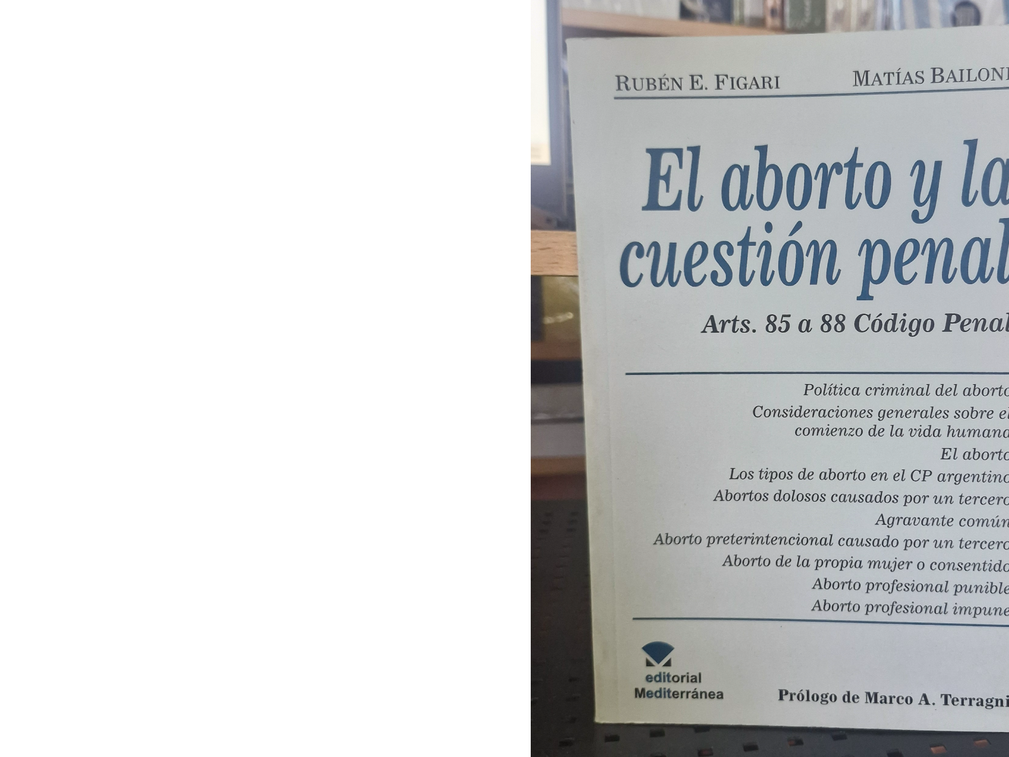 El aborto y la cuestion penal. Articulos 85 a 88 del Codigo Penal