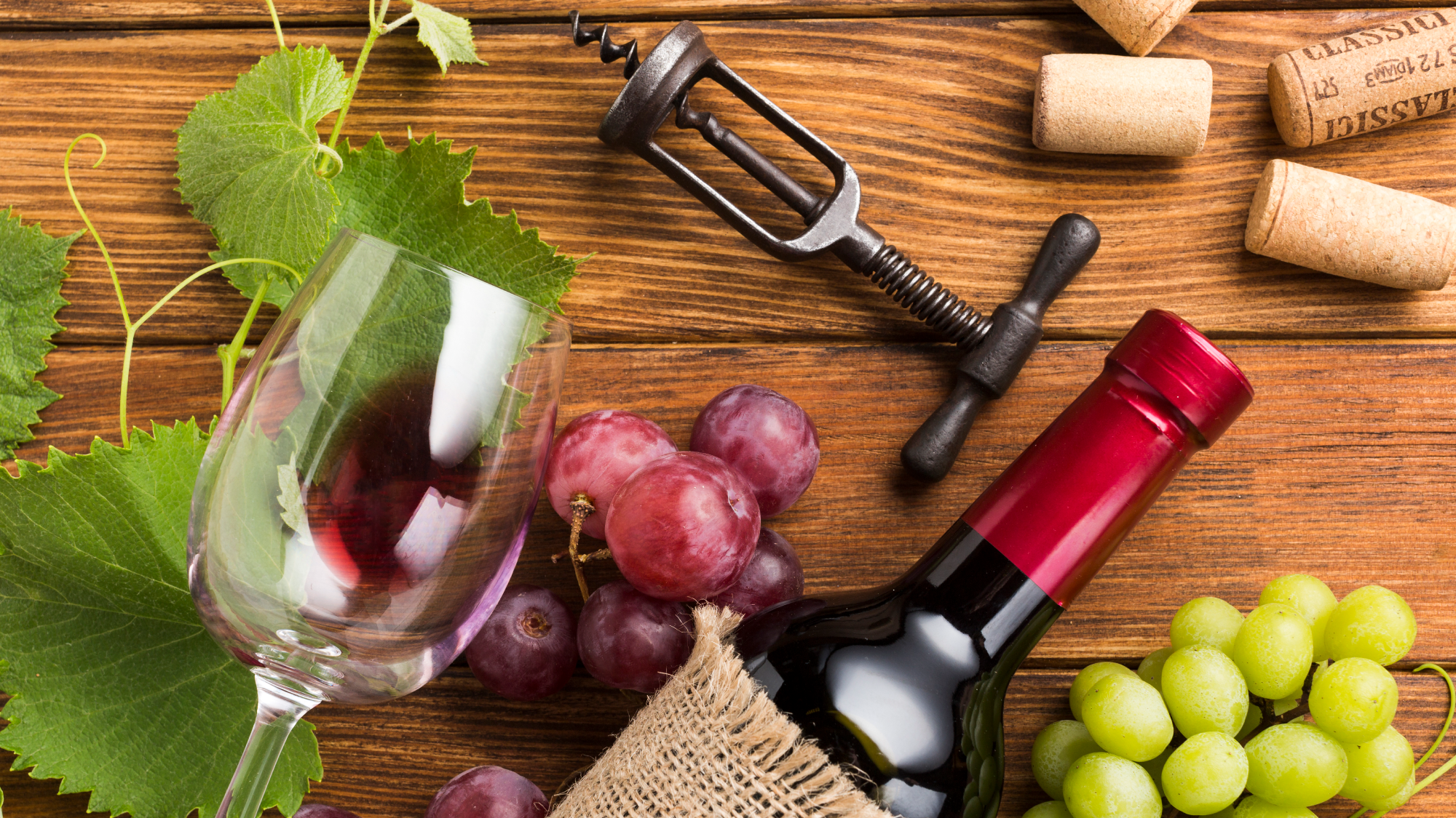 Vinos