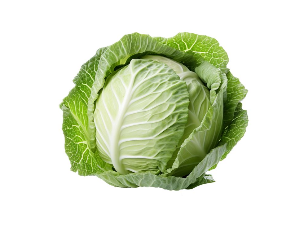Repollo blanco
