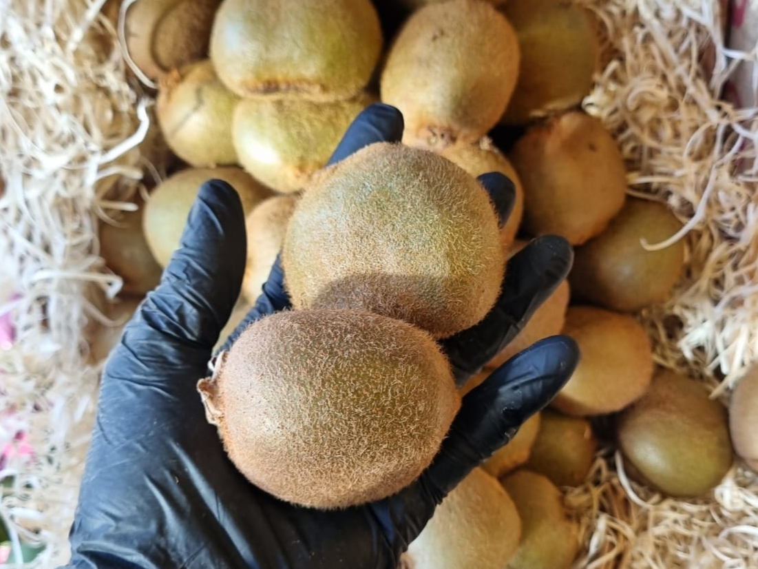 Kiwi