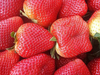 Frutillas