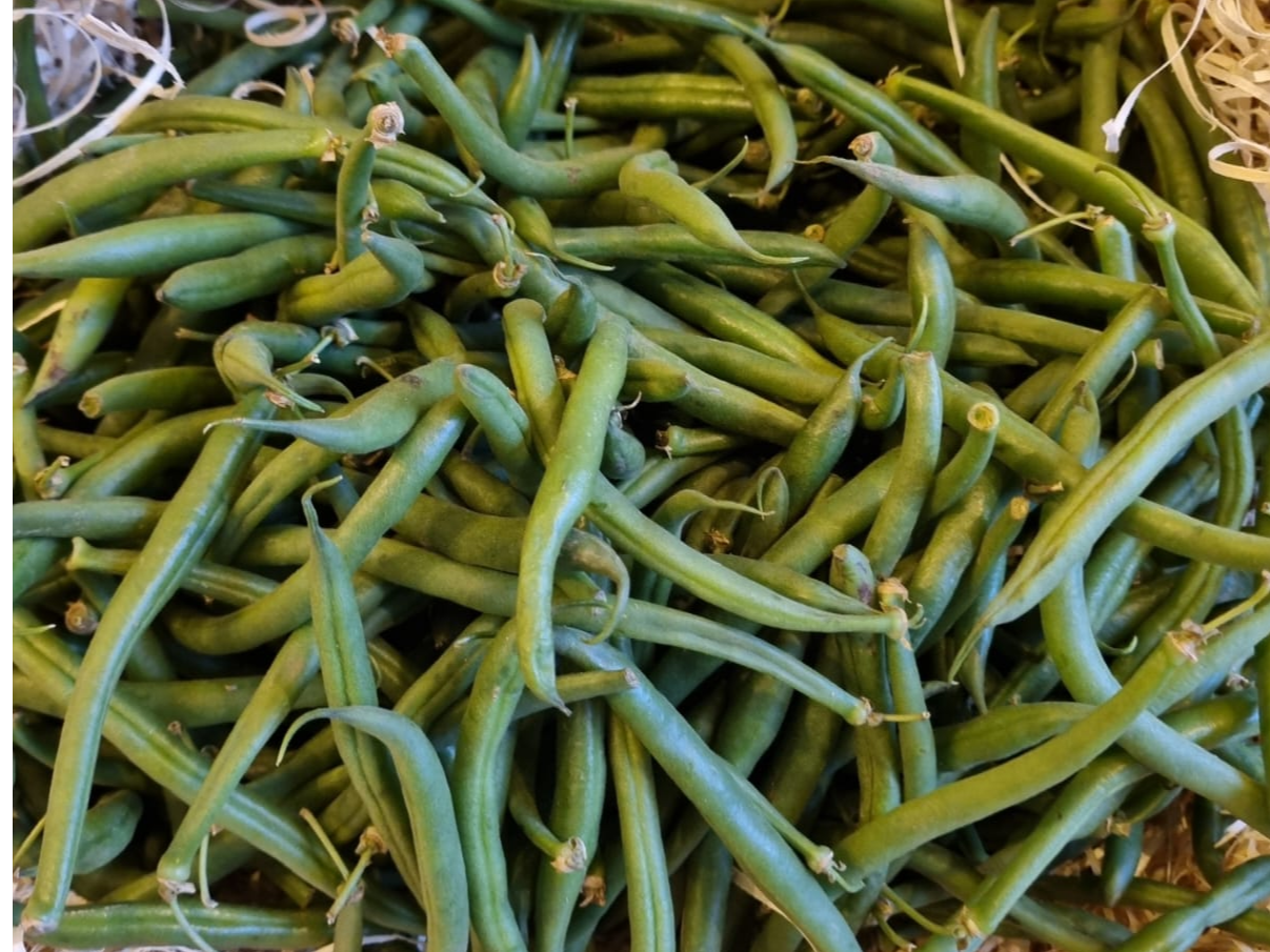 Chauchas finas verdes.
