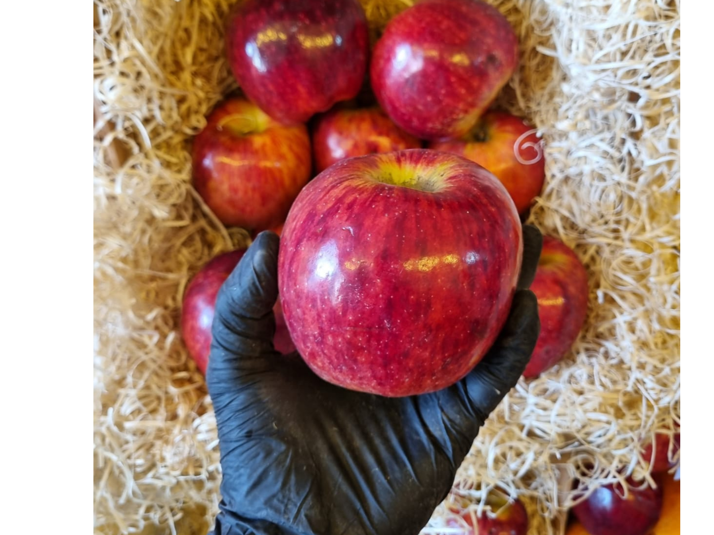 Manzana roja grande deliciosa.