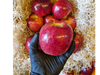 Manzana roja grande deliciosa.