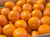 Mandarina Ortanique grande