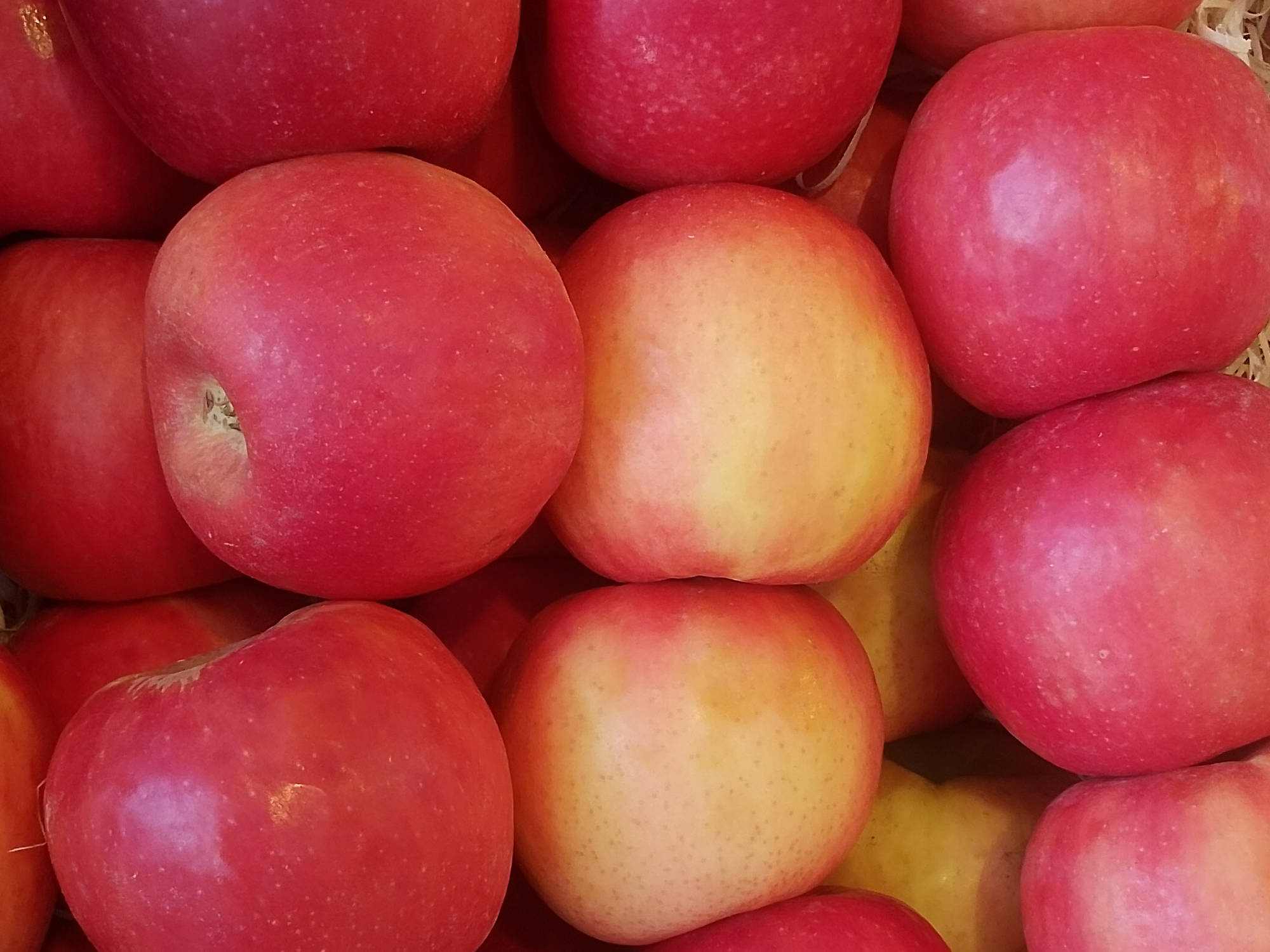 Manzana rosa pink-pearl