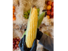 Choclos pelados.