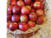 .Manzanitas rojas deliciosas lustradas