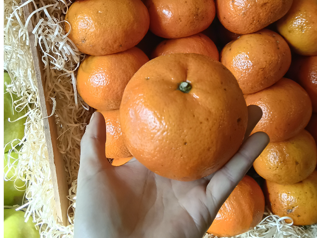 Mandarina Murcott grande