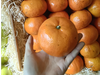 Mandarina Murcott grande