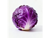 Repollo morado
