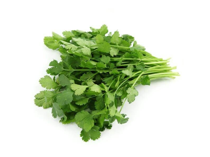 Cilantro x atado (grande)