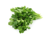 Cilantro x atado (grande)