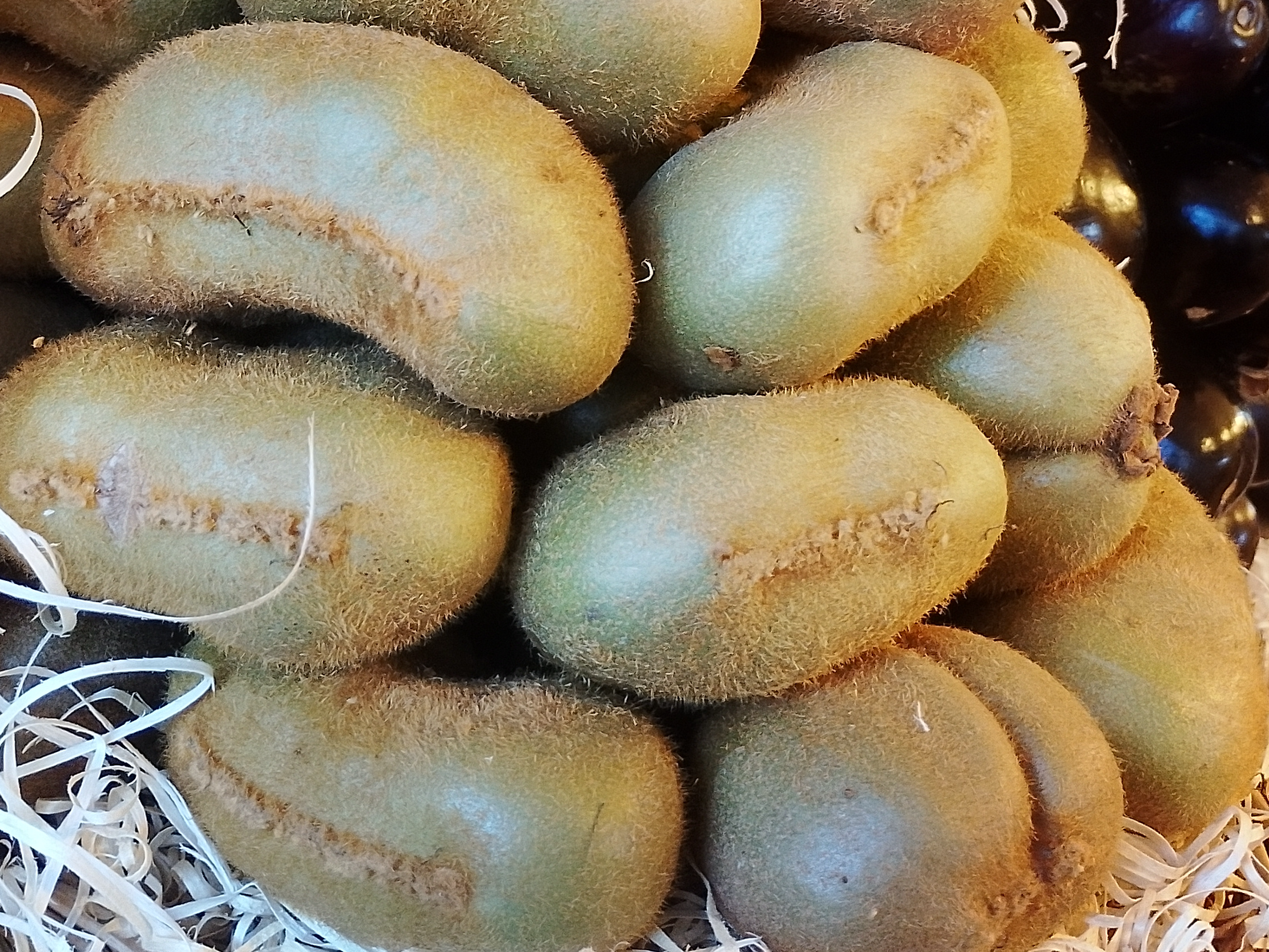 Kiwis