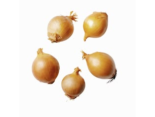 Cebolla tamaño mini