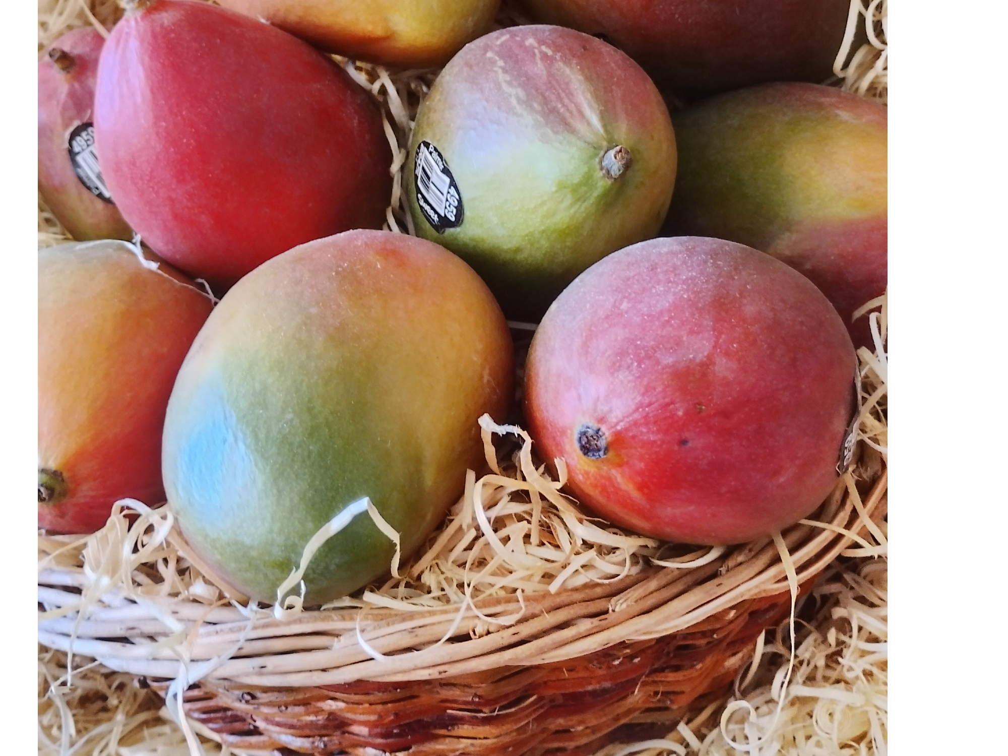 Mangos