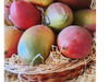 Mangos