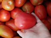 TOMATE PERITA RASO