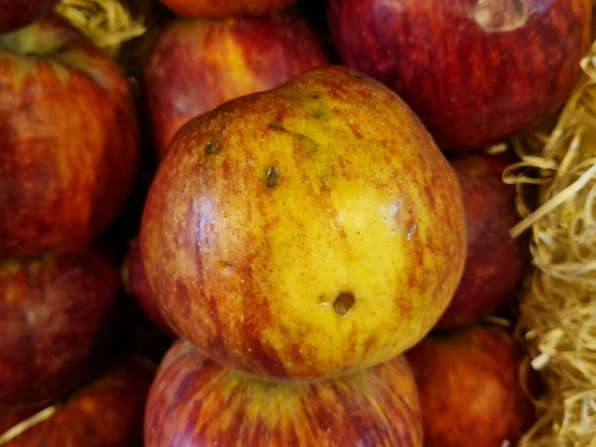 x1kg Manzanas grande con detalle