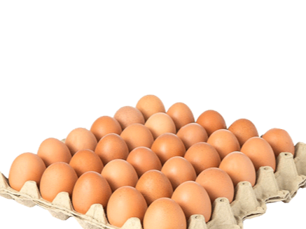 Maple de huevos super grandes