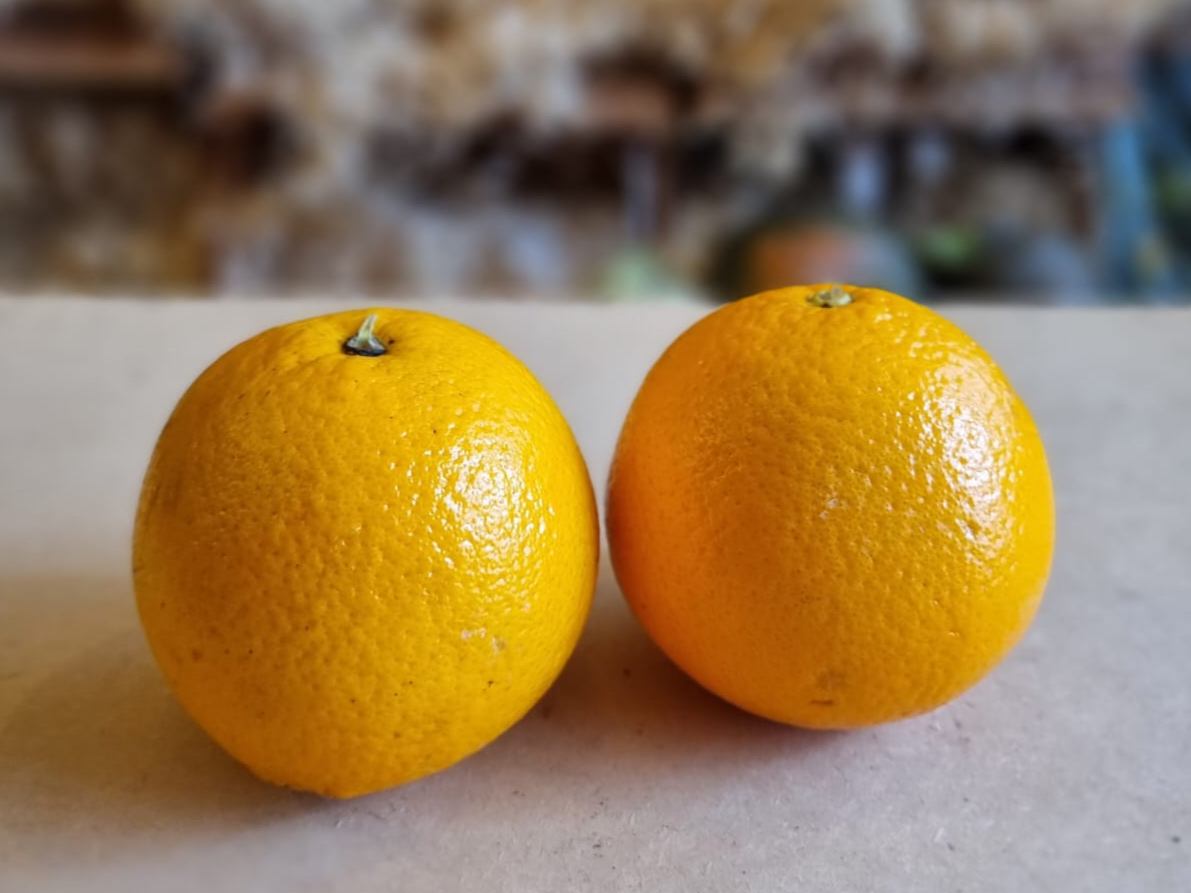 Naranja de Jugo 1°ra