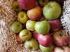 X1kg Manzana con detalle (variedades)