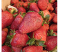 Frutillas tocadas (ideal para dulce)