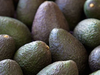 Palta hass