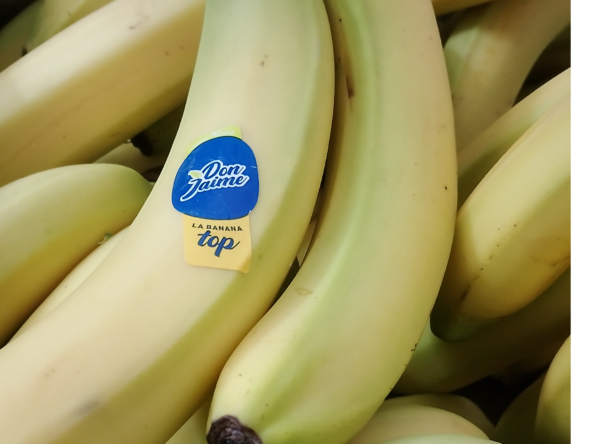 Banana Ecuador