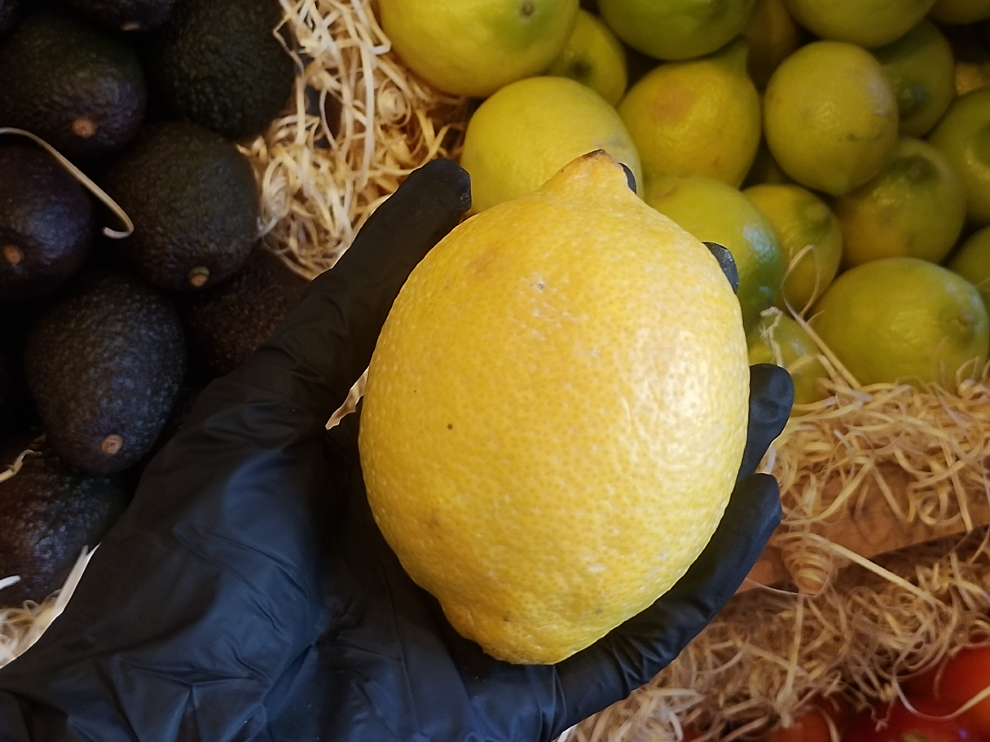 Limón cubito