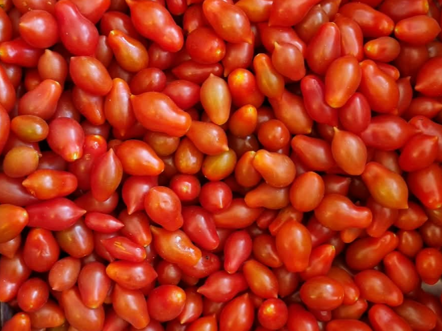 Tomate Cherry