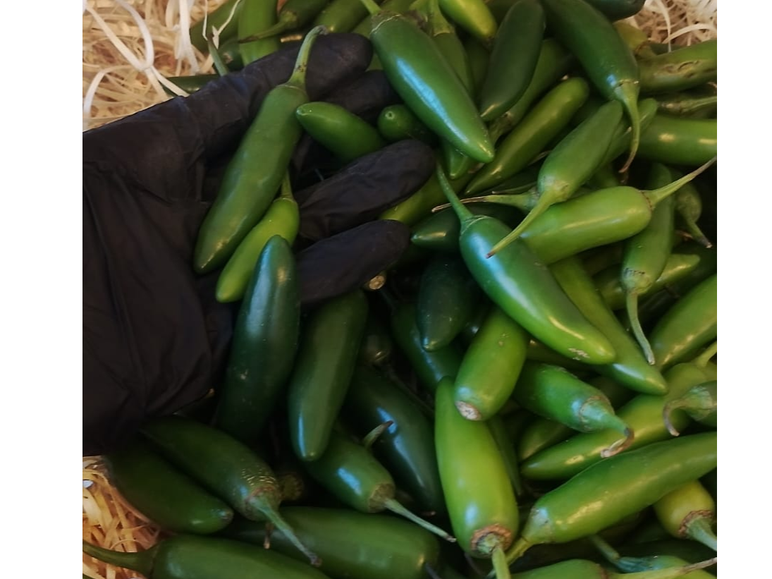 Aji picante.