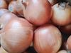 Cebolla