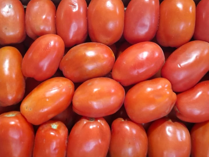 Tomate perita invernadero