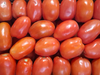 Tomate perita invernadero