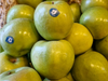 Manzana verde grande lustrada