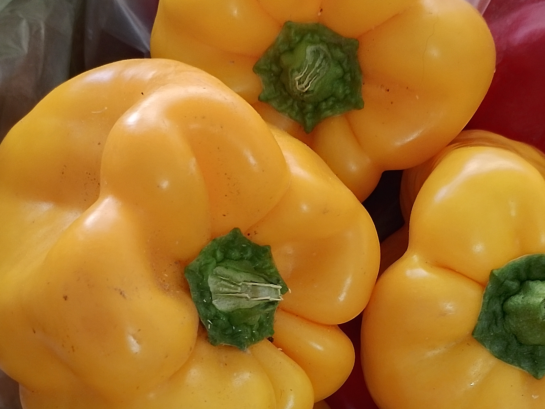 Pimiento amarillo de 1° norteño