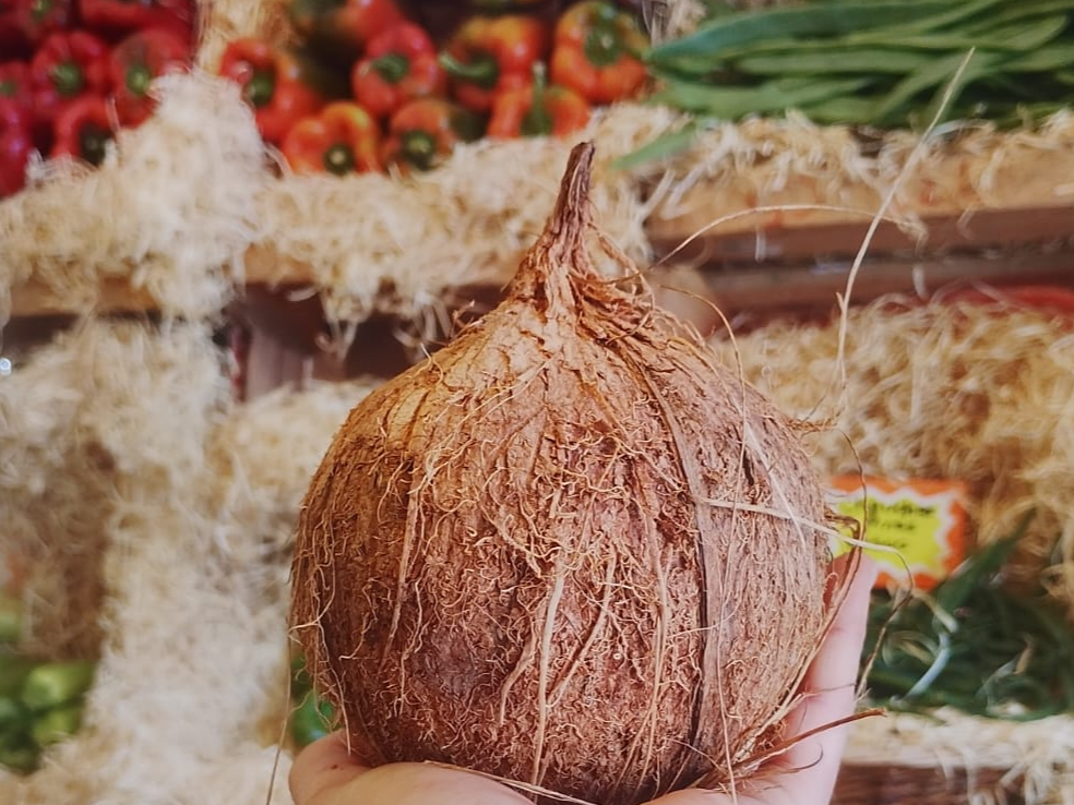 Coco tropical