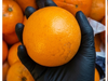 Naranja de ombligo grande 1°ra