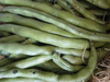 X2kg Habas