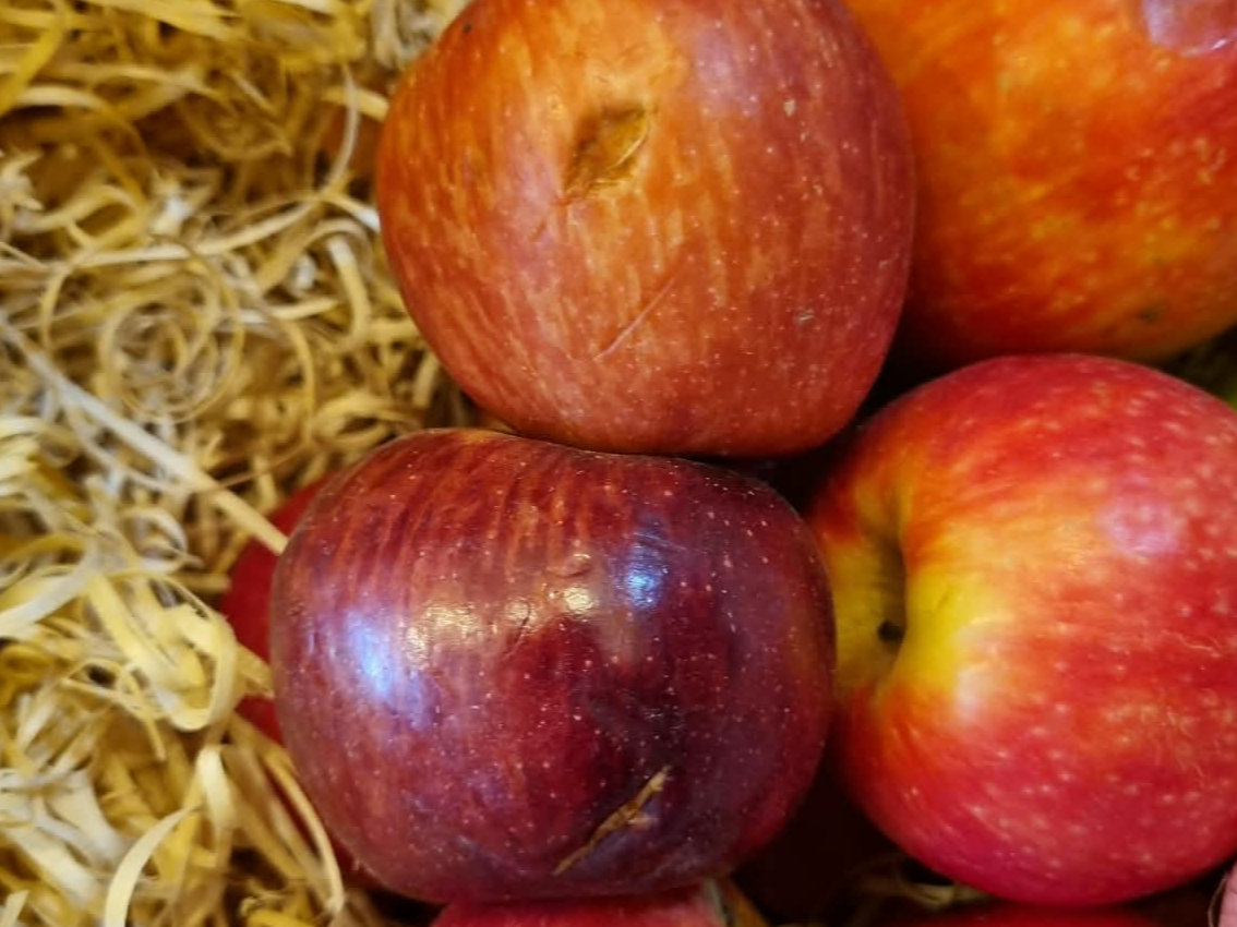 x1kg Manzana con detalle chicas