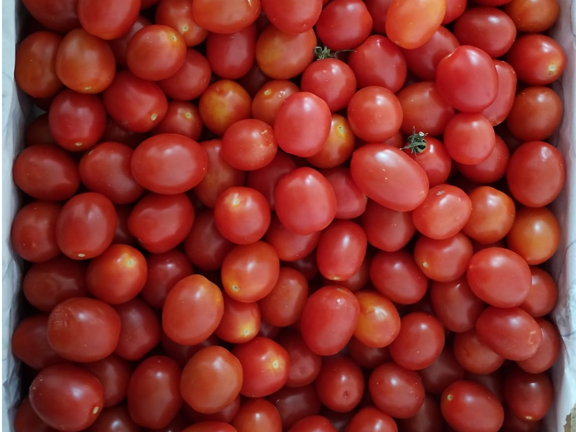 Tomate Cherry