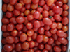Tomate Cherry