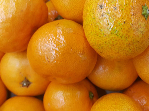 Mandarina Encore grande