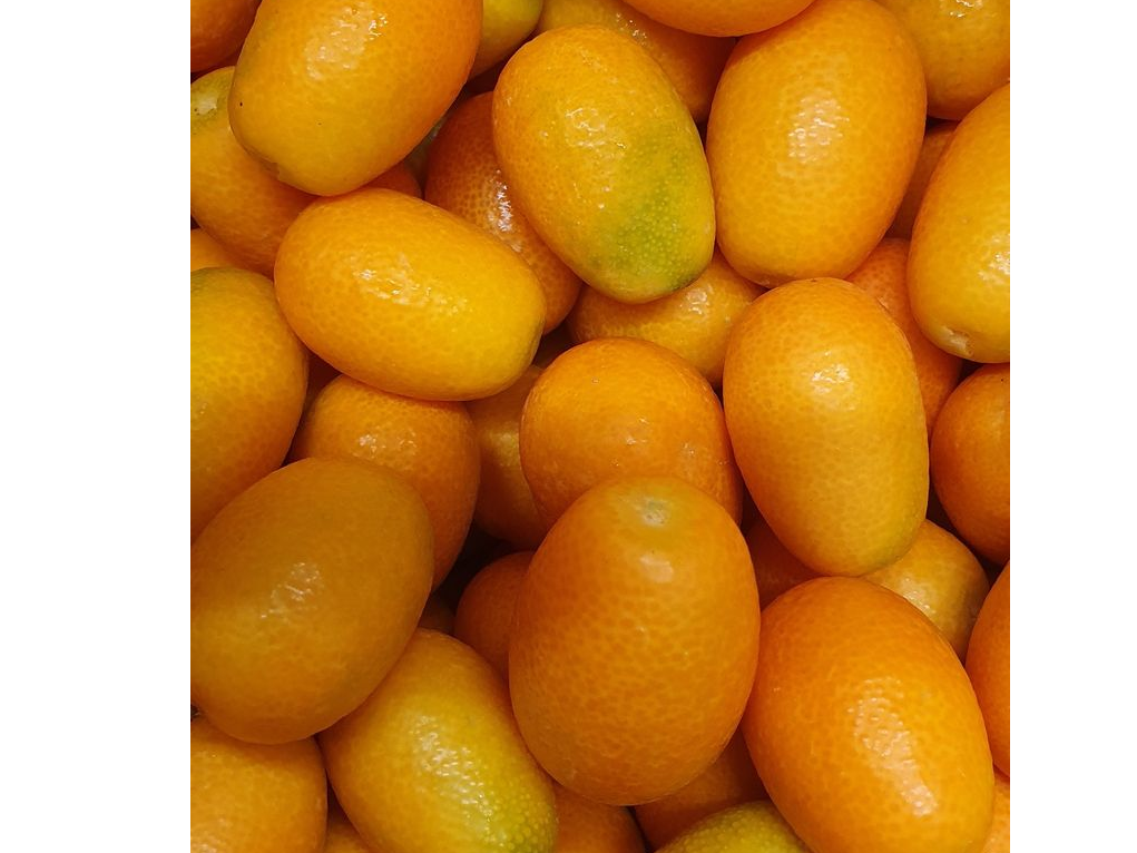 Quinotos
