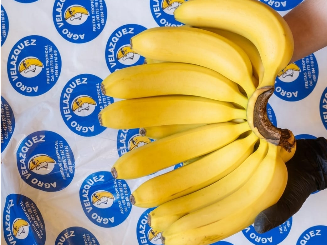 Banana paraguaya