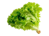 Lechuga rulito