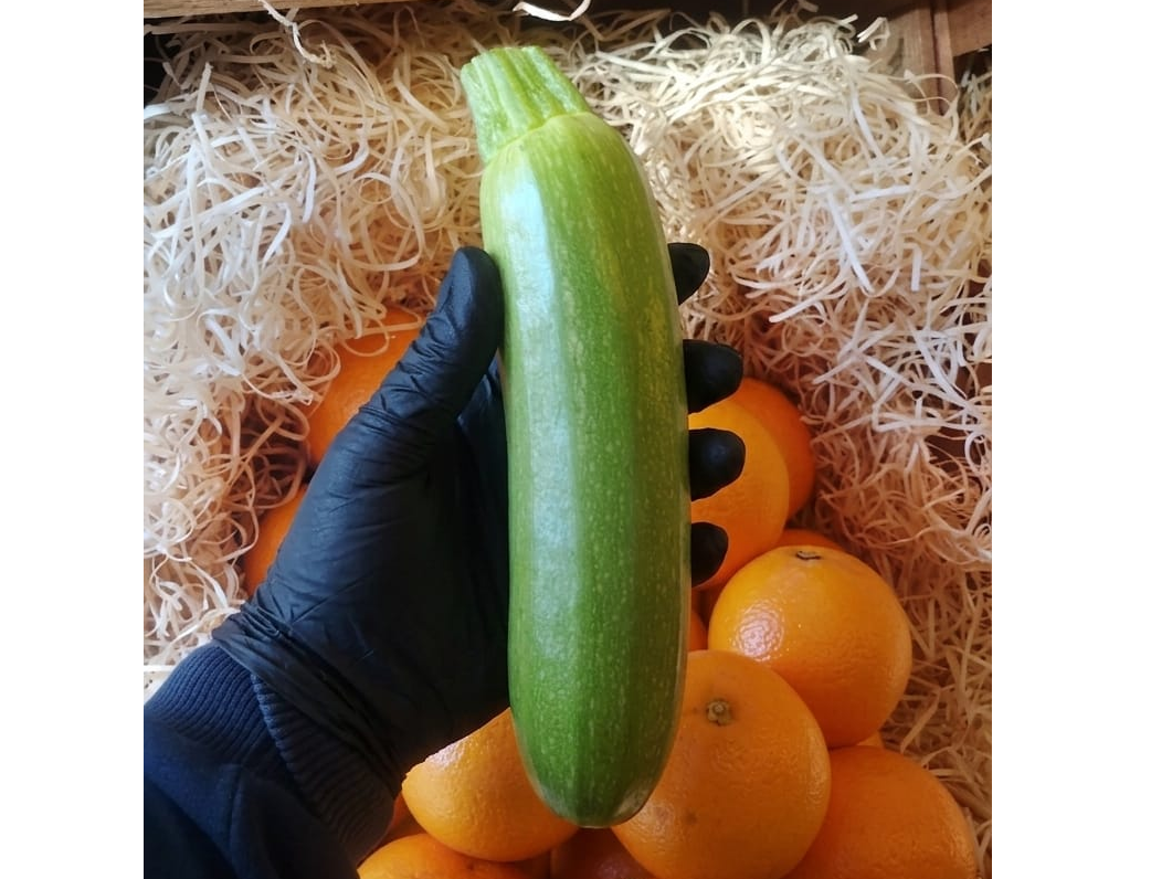 Zapallo Zuchinni de invernadero