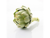Alcaucil